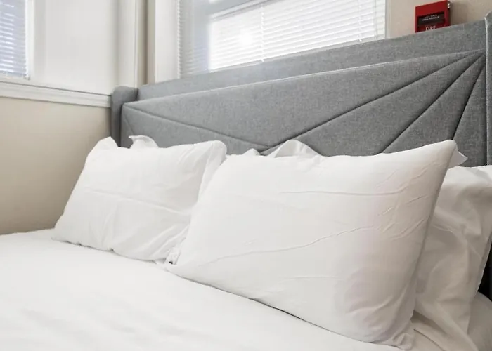 The Susan - A Cozy, Comfy 1bd Appartamento *